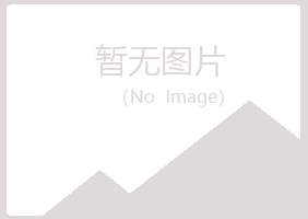 鹤岗东山山柏服务有限公司